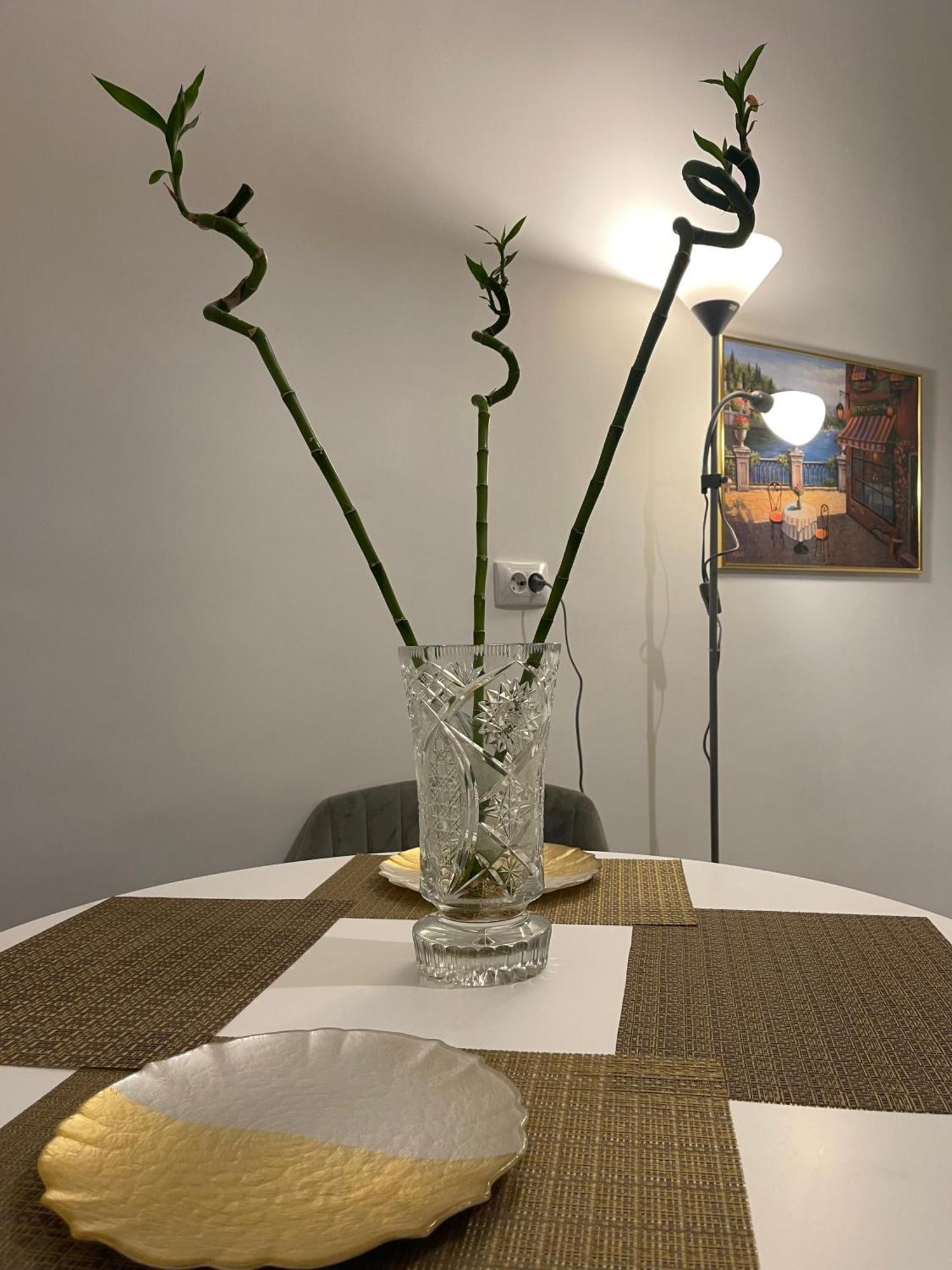 Cityviews Apartment Cluj Экстерьер фото